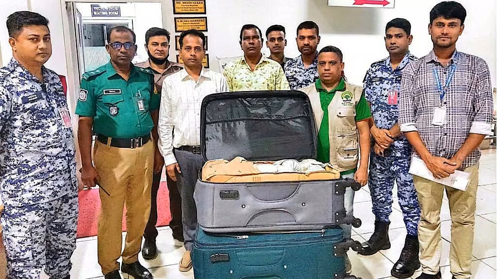 ১১৬৩ কচ্ছপ উদ্ধার: দেশেই বন্যপ্রাণীর কালোবাজার?