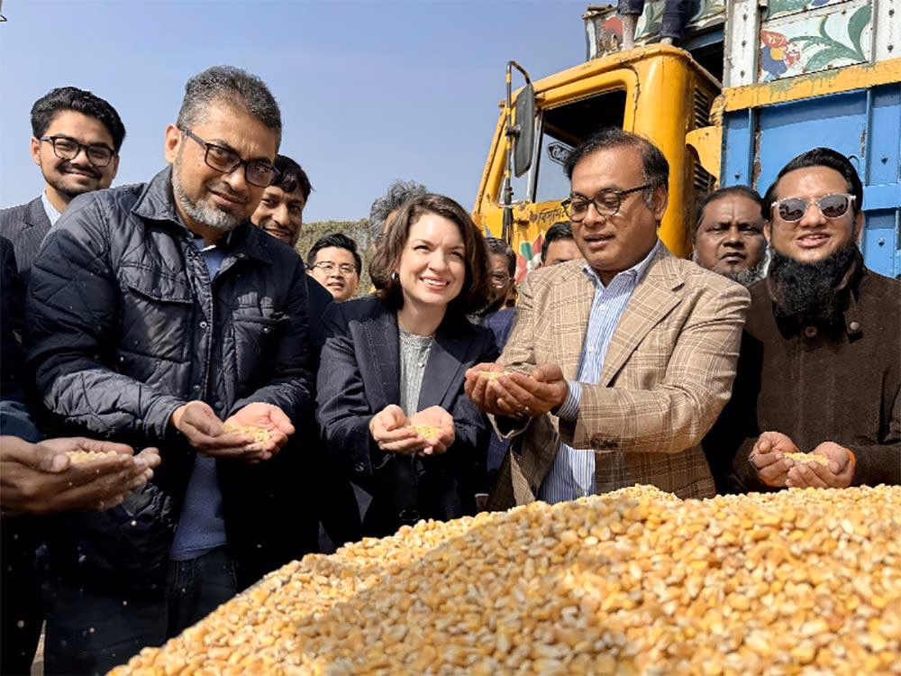 দেশের ভুট্টার বাজারে আমেরিকার প্রত্যাবর্তন, বদলাচ্ছে সরবরাহের মানচিত্র