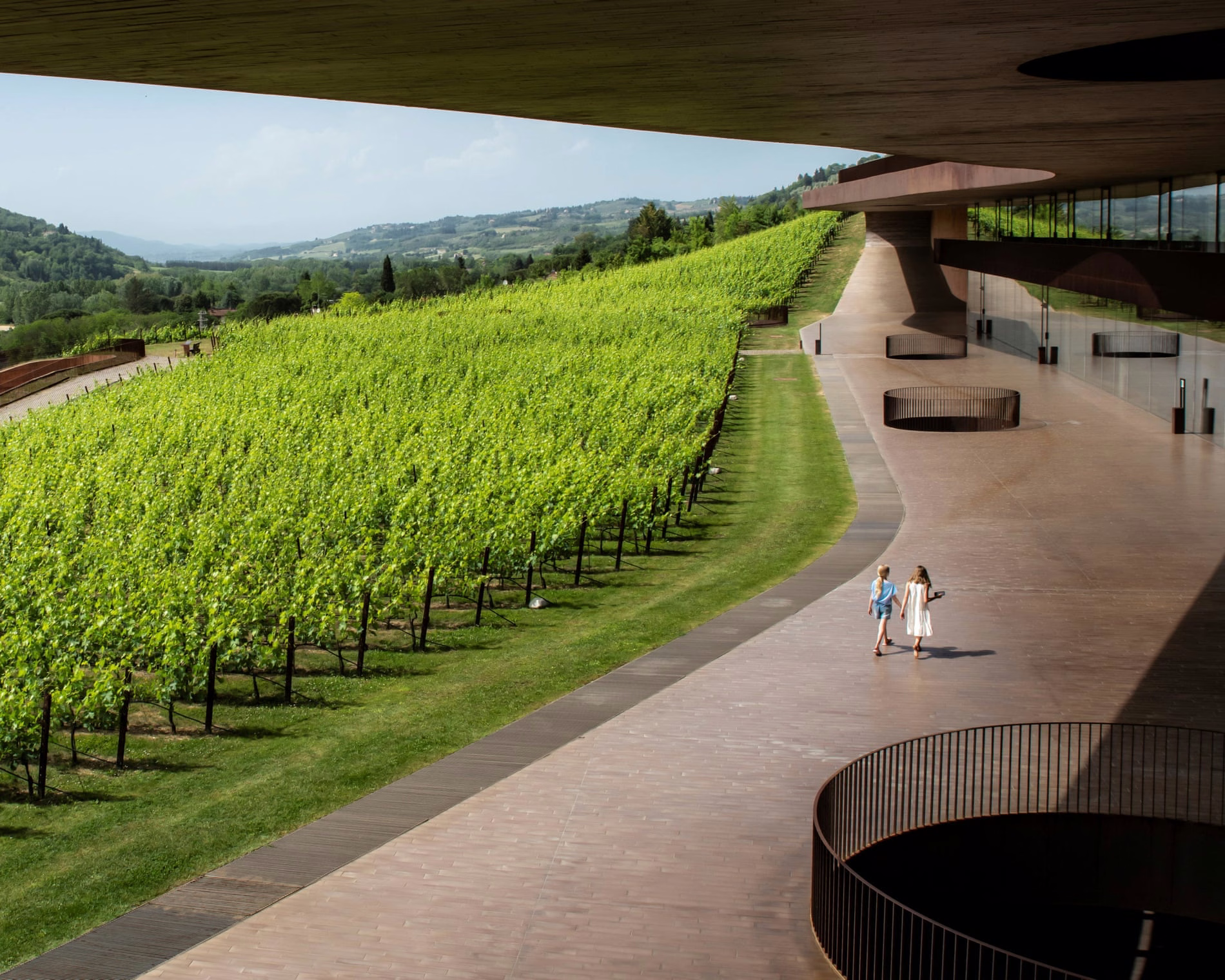 Thieves steal €5m worth of premium wine from Italian winery