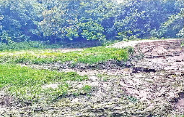 সাতছড়ি.png