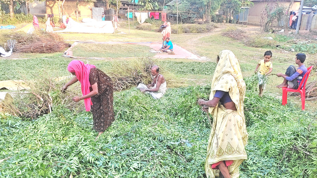ভেষজ.jpg